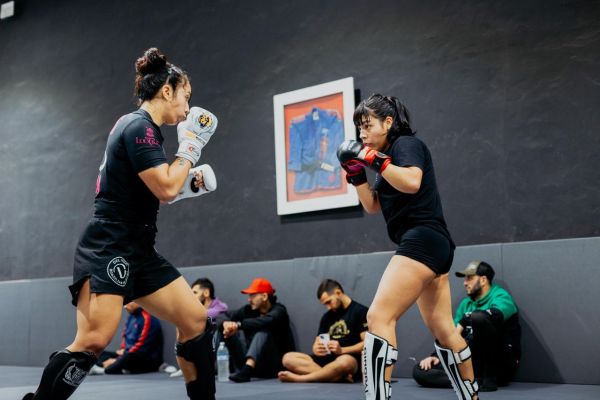 Initiatives pour promouvoir les sports de combat internationalement