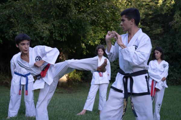 Techniques de base pour les débutants en Taekwondo